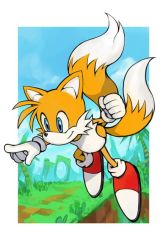 Rule 34 | 1boy, animal ears, blue eyes, fox ears, fur, furry, furry male, gloves, green hill zone, hungry clicker, male focus, multiple tails, nose, pointing, sega, shoes, smile, solo, sonic (series), tail, tails (sonic), two tails