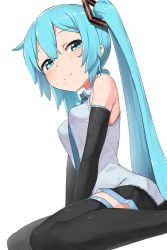 Rule 34 | 1girl, abmayo, aqua eyes, aqua hair, aqua necktie, bare shoulders, between legs, black skirt, black thighhighs, blush, breasts, closed mouth, commentary, detached sleeves, foot out of frame, from side, hair between eyes, hair ornament, hand between legs, hatsune miku, long hair, looking at viewer, looking to the side, medium breasts, miniskirt, necktie, pleated skirt, shirt, simple background, sitting, skirt, sleeveless, sleeveless shirt, smile, solo, symbol-only commentary, thighhighs, twintails, v arms, very long hair, vocaloid, wariza, white background, zettai ryouiki