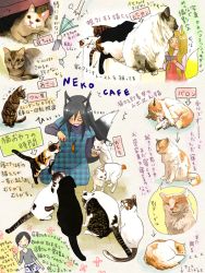 Rule 34 | ^^^, animal ears, animal focus, bad id, bad pixiv id, blush, calico, cat, cat ears, cat tail, eating, fish, layered sleeves, long sleeves, mouse (animal), short over long sleeves, short sleeves, sitting, surprised, tail, translation request, under table, unmoving pattern, yusorate