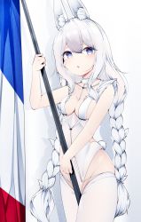 Rule 34 | + +, 1girl, absurdres, animal ears, azur lane, blue eyes, braid, breasts, choker, commentary request, fake animal ears, flag, french flag, highres, holding, holding flag, le malin (azur lane), le malin (listless lapin) (azur lane), leotard, long hair, medium breasts, official alternate costume, pantyhose, playboy bunny, rabbit ears, rabbit tail, samip, solo, tail, thighhighs, twin braids, very long hair, white choker, white hair, white thighhighs