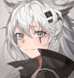 Rule 34 | 1girl, animal ears, arknights, closed mouth, gradient background, green eyes, grey background, hair ornament, hairclip, high collar, highres, lappland (arknights), long hair, looking at viewer, portrait, scar, scar across eye, scar on face, silver hair, smile, solo, touchika, wolf ears