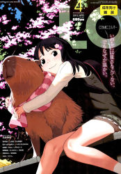 Rule 34 | 1girl, animal, black hair, capybara, cherry blossoms, comic lo, cover, cover page, highres, hug, legs, long hair, magazine cover, original, outdoors, sitting, smile, takamichi