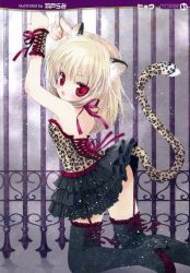 Rule 34 | 1girl, :o, absurdres, animal ears, animal print, black thighhighs, blonde hair, fang, fence, garter belt, garter straps, hato rami, high heels, highres, huge filesize, kneeling, lace-up, leopard ears, leopard print, looking at viewer, open mouth, red eyes, scan, shoes, short hair, solo, tail, thighhighs