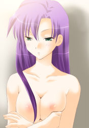 Rule 34 | 1990s (style), 1girl, breasts, breasts squeezed together, cleavage, crossed arms, faris scherwiz, female focus, final fantasy, final fantasy v, gradient background, green eyes, harapeko, large breasts, long hair, nipples, purple hair, retro artstyle, solo, topless