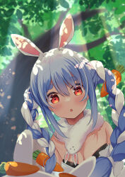 Rule 34 | 1girl, absurdres, animal ears, black leotard, blue hair, braid, breasts, carrot hair ornament, chestnut mouth, chino0803, cleavage, don-chan (usada pekora), food-themed hair ornament, forest, fur scarf, hair between eyes, hair ornament, hair ribbon, highres, hikimayu, hololive, leotard, long hair, looking at viewer, multicolored hair, nature, pekomon (usada pekora), open mouth, orange eyes, outdoors, rabbit-shaped pupils, rabbit ears, rabbit girl, ribbon, scarf, small breasts, strapless, strapless leotard, symbol-shaped pupils, tree, twin braids, two-tone hair, upper body, usada pekora, usada pekora (1st costume), virtual youtuber, white hair, white ribbon, white scarf