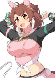 Rule 34 | 1girl, :d, absurdres, ahoge, animal ears, arms up, belt, black jacket, black leggings, blush, breasts, brown eyes, brown hair, commentary request, cowboy shot, cropped shirt, dantsu flame (umamusume), ear covers, ear ornament, hair ornament, hairband, highres, horse ears, horse girl, horse tail, jacket, large breasts, leggings, long sleeves, looking at viewer, medium hair, midriff, mirano, multicolored hair, navel, open mouth, pink hairband, pink shirt, pink shorts, shirt, shorts, shrug (clothing), sidelocks, simple background, smile, solo, standing, tail, tied jacket, umamusume, white background, white belt, white hair, zipper pull tab