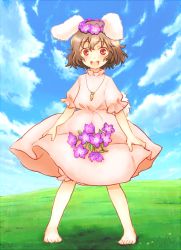 Rule 34 | 1girl, animal ears, bad id, bad pixiv id, barefoot, blue sky, brown hair, carrot, cloud, day, dress, female focus, field, flower, furorida, head wreath, inaba tewi, jewelry, looking at viewer, meadow, open mouth, outdoors, pendant, pink dress, puffy short sleeves, puffy sleeves, rabbit ears, rabbit girl, rabbit tail, red eyes, shadow, short hair, short sleeves, skirt basket, sky, solo, tail, touhou