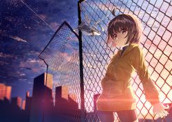Rule 34 | 1girl, ahoge, backlighting, bike shorts, broken fence, brown eyes, brown hair, chain-link fence, commentary request, dragon, fence, hand in pocket, hood, hoodie, kuu (under night in-birth), linne, looking at viewer, short hair, solo focus, sunset, under night in-birth, yusano