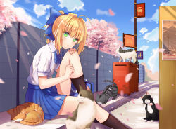 Rule 34 | 1girl, ahoge, alternate costume, animal, artoria pendragon (all), artoria pendragon (fate), bag, black socks, blonde hair, blue bow, blue skirt, blush, bow, cat, cherry blossoms, fate/grand order, fate/stay night, fate (series), green eyes, hair bow, hair intakes, kneehighs, looking at viewer, petals, pleated skirt, ponytail, saber (fate), school bag, school uniform, short ponytail, sitting, skirt, socks, solo, yuhuan
