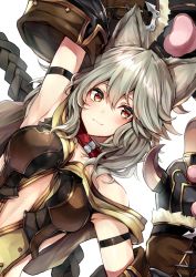 Rule 34 | 10s, 1girl, animal ears, arm up, armpits, center opening, collar, erune, granblue fantasy, highres, looking at viewer, red eyes, sen (granblue fantasy), short hair, silver hair, simple background, slit pupils, smile, solo, watao, white background