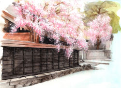 Rule 34 | architecture, cherry blossoms, east asian architecture, nature, neon (artist), no humans, original, painting (medium), road, scenery, spring (season), stone, street, traditional media, tree, wall, watercolor (medium)