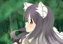 Rule 34 | 1girl, animal ear fluff, animal ears, black hair, blush, forest, hair between eyes, kuroha uma, long hair, looking at viewer, nature, open mouth, princess connect!, shiori (princess connect!), smile, solo