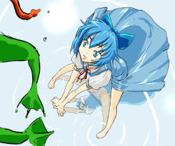 Rule 34 | 1girl, blue hair, cif, cirno, dress, female focus, frog, panties, reflection, ribbon, solo, embodiment of scarlet devil, touhou, underwear