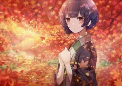 Rule 34 | 1girl, autumn, autumn leaves, bad id, bad twitter id, blush, bob cut, forest, hair between eyes, highres, idolmaster, idolmaster shiny colors, japanese clothes, kimono, looking at viewer, morino rinze, namamake, nature, outdoors, purple hair, red eyes, short hair, solo, standing, upper body