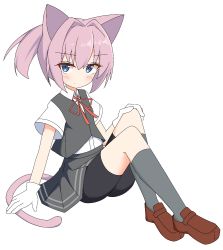 Rule 34 | 1girl, animal ears, black shorts, blue eyes, blush, brown footwear, cat ears, cat girl, cat tail, collared shirt, commentary request, dress shirt, full body, gloves, grey skirt, grey socks, grey vest, hair between eyes, hair intakes, hand on own knee, highres, ichi (ichi.colors), kantai collection, kemonomimi mode, kneehighs, loafers, neck ribbon, pink hair, ponytail, red ribbon, ribbon, school uniform, shiranui (kancolle), shirt, shoes, short shorts, shorts, sidelocks, simple background, sitting, skirt, socks, solo, tail, vest, white background, white gloves, white shirt