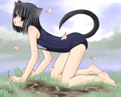 Rule 34 | all fours, animal ears, bad id, bad pixiv id, barefoot, black eyes, black hair, blush, cat ears, cat tail, cherry blossoms, cloud, day, feet, grass, hair bobbles, hair ornament, heavy breathing, kanzaki miku, kuroinu, md5 mismatch, one-piece swimsuit, open mouth, original, petals, puddle, school swimsuit, side ponytail, solo, sweat, swimsuit, tail