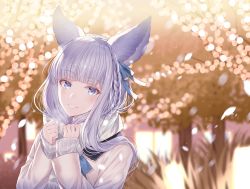 Rule 34 | 1girl, animal ear fluff, animal ears, blue ribbon, blurry, blurry background, braid, commentary request, depth of field, erune, fringe trim, granblue fantasy, grey eyes, grey scarf, hair ribbon, hands up, jacket, korwa, long hair, long sleeves, looking at viewer, myusha, parted lips, ribbon, scarf, silver hair, sleeves past wrists, solo, tree, upper body, white jacket