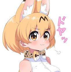 Rule 34 | 1girl, :3, puff of air, animal ear fluff, animal ears, bare shoulders, blonde hair, bow, bowtie, commentary request, extra ears, highres, kemono friends, print bow, print bowtie, print neckwear, ransusan, serval (kemono friends), serval print, shirt, short hair, sleeveless, smug, solo, traditional bowtie, translation request, white shirt, yellow eyes