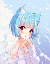 Rule 34 | 1girl, :o, animal ears, artist name, bare tree, blue hair, blush, borrowed character, breath, cat ears, collarbone, commission, fidgeting, head tilt, hyanna-natsu, long sleeves, looking at viewer, off-shoulder, off-shoulder sweater, off shoulder, open mouth, original, outdoors, own hands together, red eyes, short hair, snowing, solo, sweater, tareme, tree, upper body, white sweater, winter