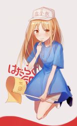 Rule 34 | 1girl, asagi jin, blue shirt, brown shorts, child, commentary request, flag, full body, hataraku saibou, highres, holding, holding flag, holding whistle, long hair, looking at viewer, platelet (hataraku saibou), shirt, shoes, shorts, simple background, smile, solo, translation request, whistle