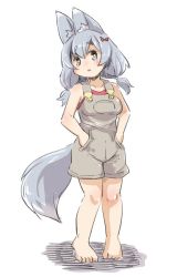 Rule 34 | 1girl, :o, animal ear fluff, animal ears, bad id, bad pixiv id, bare arms, bare shoulders, barefoot, blush, bow, breasts, collarbone, fox ears, fox girl, fox tail, full body, grey eyes, grey hair, hair between eyes, hair bow, hands in pockets, head tilt, long hair, low twintails, medium breasts, original, overall shorts, overalls, parted lips, red bow, red shirt, shadow, shirt, sleeveless, sleeveless shirt, solo, standing, tail, thick eyebrows, twintails, u-non (annon&#039;an), white background