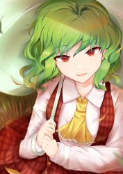 Rule 34 | 1girl, ascot, blurry, buttons, depth of field, frilled neckwear, green hair, hair behind ear, highres, holding, holding umbrella, kazami yuuka, light smile, long sleeves, looking at viewer, medium hair, open clothes, open vest, parted lips, plaid, plaid skirt, plaid vest, red eyes, shirt, skirt, skirt set, solo, swept bangs, tottoripiyo, touhou, umbrella, upper body, vest, wavy hair, white shirt, wing collar, yellow ascot