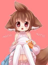 Rule 34 | 1girl, animal ears, blush, borrowed character, brown eyes, brown hair, fang, highres, looking at viewer, mosuko (torikura1000), open mouth, original, paw print, short hair, simple background, smile, solo, tail, thighhighs, ueno musashi