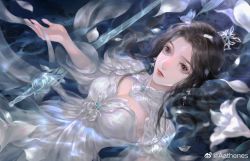 Rule 34 | 1girl, aathenes luo guo, absurdres, black hair, blurry eyes, bug, butterfly, dress, earrings, expressionless, hair ornament, highres, insect, jewelry, long hair, lu xueqi (zhu xian), lying, on back, sword, weapon, wet, zhu xian