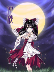 Rule 34 | 1girl, black hair, bow, brown eyes, cloud, detached sleeves, dress, female focus, field, full body, grass, hair bow, hakurei reimu, long sleeves, looking at viewer, moon, night, outdoors, red bow, red dress, ribbon-trimmed sleeves, ribbon trim, solo, standing, touhou
