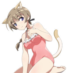 Rule 34 | 1girl, animal ears, blue eyes, blush, braid, braided ponytail, breasts, brown hair, cat ears, cat tail, closed mouth, long hair, looking at viewer, lynette bishop, medium breasts, nanashino, one-piece swimsuit, pink one-piece swimsuit, ponytail, simple background, smile, solo, strike witches, swimsuit, tail, white background, world witches series