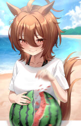 Rule 34 | 1girl, agnes tachyon (umamusume), ahoge, animal ears, beach, blue sky, blush, brown hair, closed mouth, collarbone, commentary request, day, earrings, empty eyes, eyelashes, food, fruit, hair between eyes, hand up, highres, horse ears, horse girl, horse tail, huge ahoge, jewelry, lips, long bangs, looking at food, looking at object, making-of available, medium hair, motsushi, ocean, outdoors, red eyes, sand, shirt, short sleeves, sky, smile, solo, summer, sunlight, t-shirt, tail, umamusume, water, watermelon, white shirt