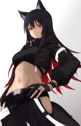 Rule 34 | 1girl, absurdres, animal ears, arknights, black gloves, black hair, black jacket, black pants, black shirt, commentary request, cowboy shot, crop top, gloves, gradient background, grey background, highres, hip vent, jacket, long hair, looking at viewer, midriff, navel, open clothes, open jacket, orange eyes, pants, shirt, solo, standing, stomach, suzutaro, texas (arknights), very long hair, white background, wolf ears