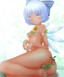 Rule 34 | 1girl, areola slip, ass, bad perspective, barefoot, blue eyes, blue hair, blush, bow, cirno, covering privates, covering crotch, dark-skinned female, dark skin, flat chest, flower, hair bow, hidden star in four seasons, highres, ice, ice wings, looking at viewer, nude, plant, short hair, shounen (hogehoge), sitting, solo, sunflower, sweat, tan, touhou, vines, wet, wings, yokozuwari