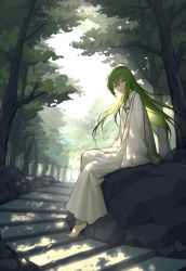 Rule 34 | 1girl, backlighting, barefoot, closed mouth, day, enkidu (fate), fate/grand order, fate (series), forest, green eyes, green hair, highres, long hair, long sleeves, looking at viewer, nature, outdoors, rock, sitting, sleeves past wrists, smile, solo, stairs, tree, youx