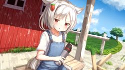 Rule 34 | 1girl, ame., animal ears, azur lane, barn, blue sky, carrot hair ornament, cloud, collarbone, commentary request, day, dutch angle, fence, field, food-themed hair ornament, hair ornament, holding, long hair, looking at viewer, montpelier (azur lane), outdoors, overalls, shirt, short sleeves, silver hair, sitting, sky, solo, thermos, tree, very long hair, white shirt