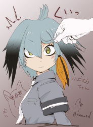 Rule 34 | 10s, 1girl, ^^^, black hair, blouse, bodystocking, green eyes, grey shirt, hair lift, hane (azelye), head wings, kemono friends, lifting another&#039;s clothes, multicolored hair, necktie, out of frame, shirt, shoebill (kemono friends), solo focus, wings