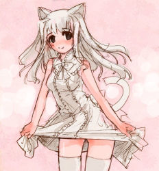 Rule 34 | 1girl, animal ears, breasts, brown eyes, cat ears, cat tail, clothes lift, lifting own clothes, momiji mao, original, skirt, skirt lift, solo, split mouth, tail, thighhighs, white hair, zettai ryouiki
