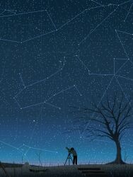 Rule 34 | 1other, ambiguous gender, animated, animated gif, cancer (constellation), constellation, gemini (constellation), highres, mae 1031, night, night sky, original, outdoors, pixel art, short hair, sky, snow, snowman, solo, standing, star (sky), starry sky, taurus (constellation), telescope, tree