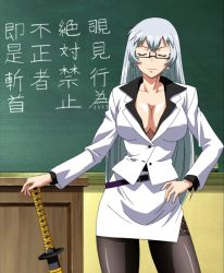 Rule 34 | 00s, 10s, belt, breasts, chouun shiryuu, cleavage, closed eyes, glasses, grey hair, hand on own hip, highres, hip focus, ikkitousen, ikkitousen xtreme xecutor, screencap, stitched, sword, teacher, third-party edit, weapon