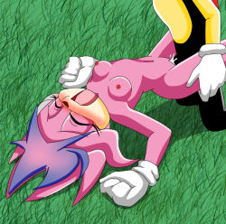 Rule 34 | archie comics, blush, breasts, furry, gloves, julie-su, lying, mighty the armadillo, missionary, nipples, on back, open mouth, penis, pussy, sex, sonic (series), spread legs, vaginal