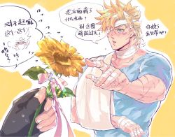 Rule 34 | 1boy, arm sling, bandage over one eye, bandaged head, bandages, battle tendency, blonde hair, blue shirt, blush, bow, caesar anthonio zeppeli, chibi, chinese text, crying, cuts, facial mark, fingerless gloves, flower, gloves, green eyes, highres, holding, holding flower, injury, jewelry, jojo no kimyou na bouken, joseph joestar, joseph joestar (young), male focus, pointing, ring, scar, shirt, solo focus, spoken character, sunflower, t-shirt, triangle print, xing xiao