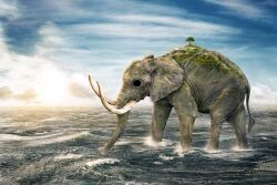 Rule 34 | animal, cloud, cloudy sky, day, elephant, empty eyes, from side, full body, highres, island, male focus, ocean, on water, one piece, outdoors, realistic, sky, solo, standing, sunset, thanawat thepphongsri, tree, tusks, walking, water, zunesha