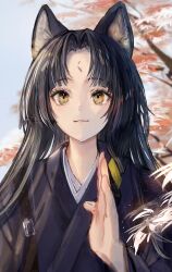 Rule 34 | 1girl, absurdres, animal ear fluff, animal ears, arknights, black hair, black kimono, closed mouth, commentary, dog ears, dog girl, facial mark, forehead mark, gawako, hand up, highres, japanese clothes, kimono, light particles, long hair, outdoors, saga (arknights), smile, solo, upper body, wide sleeves, yellow eyes