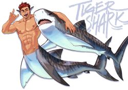Rule 34 | 1boy, alternate form, animal, arm around neck, arm up, body markings, borrowed character, brown eyes, brown hair, colored skin, commentary, completely nude, dorsal fin, english commentary, english text, fangs, fins, full body, gills, grey skin, hand up, head fins, highres, m/, male focus, merman, mondoart, monster boy, multicolored hair, multicolored skin, muscular, muscular male, nude, one eye closed, open mouth, original, pointy ears, red hair, scar, scar on face, scar on nose, shark, shark boy, short hair, simple background, solo, tiger shark, tongue, tongue out, two-tone hair, undercut, very short hair, white background, white skin