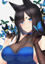 Rule 34 | 1girl, animal ears, black-haired fox girl (hayabusa), black gloves, blue dress, blue eyes, blunt bangs, blush, breasts, bug, butterfly, cat ears, closed mouth, dress, gloves, half gloves, hands up, hayabusa (vert 320), highres, insect, large breasts, long hair, looking at viewer, mole, mole under eye, original, short eyebrows, sidelocks, slit pupils, smile, solo