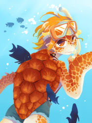 Rule 34 | 1girl, female focus, fish, from behind, goggles, goggles on head, highres, looking back, monster girl, orange hair, original, pointy ears, short shorts, shorts, snorkel, solo, swimming, turtle, underwater, water, yamanobe