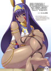 Rule 34 | 1girl, animal ears, ankle lace-up, armlet, bare legs, bare shoulders, barefoot, blush, bracelet, closed mouth, creature, cross-laced footwear, crossed legs, dark-skinned female, dark skin, earrings, egyptian, egyptian clothes, expressionless, eyebrows, facepaint, facial mark, fate/grand order, fate (series), feet, hairband, hoop earrings, jewelry, long hair, looking at viewer, medjed (fate), neck ring, nitocris (fate), purple eyes, purple hair, rabbit ears, revealing clothes, ruton-niki, shaded face, shiny skin, sidelocks, sitting, soles, solo, toes, translation request, very long hair