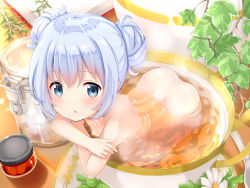 Rule 34 | 1girl, arched back, arm support, ass, bathing, blue eyes, blue hair, blush, book, collarbone, cup, double bun, drink, gochuumon wa usagi desu ka?, hair bun, highres, in container, in cup, kafuu chino, kneeling, looking at viewer, looking up, marmalade, mini person, minigirl, nude, open book, plant, saucer, solo, sugar cube, tareme, tea, teacup, toketou