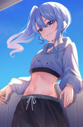 Rule 34 | 1girl, absurdres, aoi zerii, black pants, blue eyes, blue hair, blue sky, cropped hoodie, drawstring, grin, high side ponytail, highres, hololive, hood, hoodie, hoshimachi suisei, midriff, navel, pants, parted lips, sky, smile, solo, star (symbol), star in eye, stomach, symbol in eye, virtual youtuber