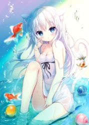 Rule 34 | 1girl, animal, animal ear fluff, animal ears, bare arms, bare shoulders, barefoot, blue eyes, blush, cat ears, cat girl, cat tail, commentary request, dress, fish, goldfish, groin, hair between eyes, knee up, long hair, looking at viewer, original, parted lips, shiwasu horio, sitting, sleeveless, sleeveless dress, solo, strap slip, tail, tail raised, very long hair, water, water drop, white dress, white hair